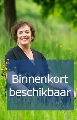 meditatie altijd energie - lia weijts zutphen
